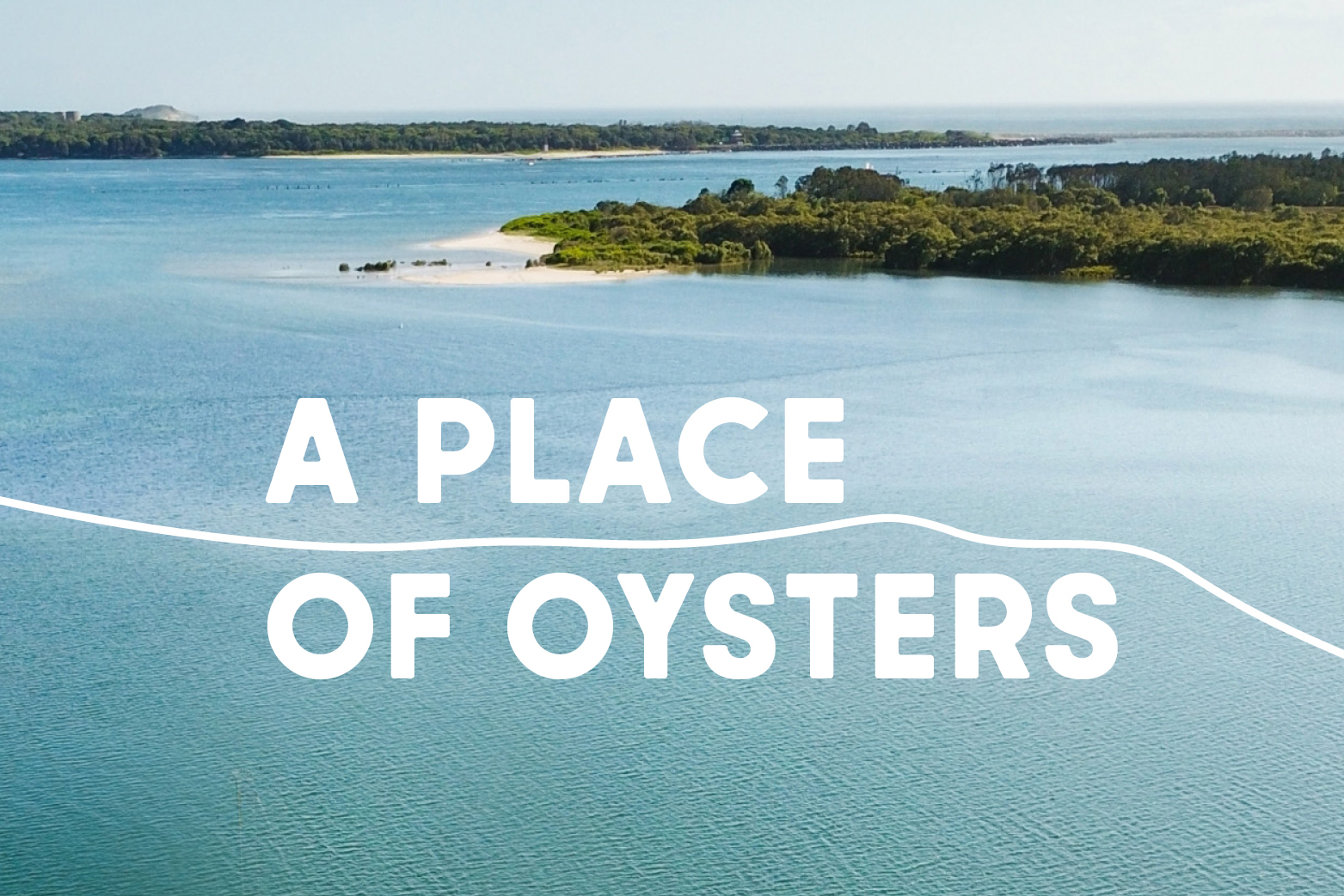 A Place of Oysters
